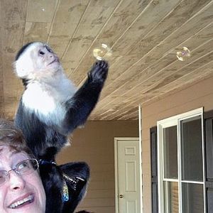 Meet your Posher, Debbie